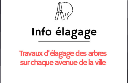 Photo de 🌳 Avis de travaux d’élagage des arbres d'alignement 🌳