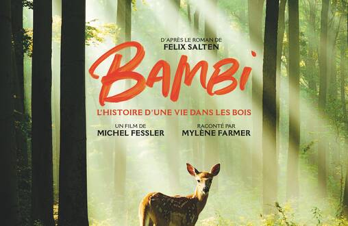 Photo de Bambi, L’histoire d’une vie dans les bois